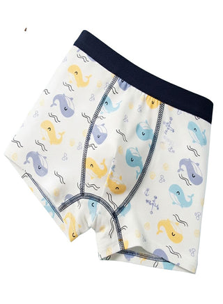 Boys Cotton Vehicle Print Boxer Shorts Pack of 4