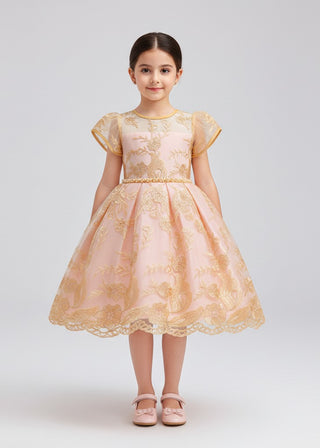 Girls Peach Embroidered Tulle Party Dress