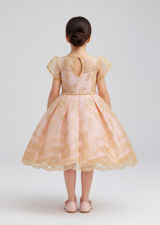 Girls Peach Embroidered Tulle Party Dress