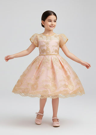 Girls Peach Embroidered Tulle Party Dress