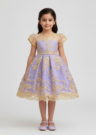 Girls Lavender Embroidered Tulle Party Dress