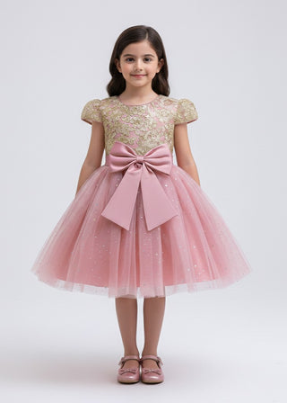 Girls Pink Glitter Tulle Bow Party Dress