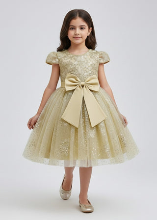 Girls Gold Glitter Tulle Bow Party Dress