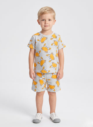 Boys  Grey animals printed Summer Co-od Sets