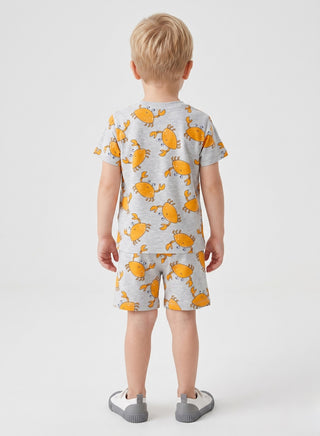Boys  Grey animals printed Summer Co-od Sets