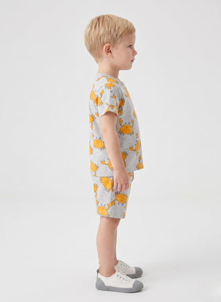 Boys  Grey animals printed Summer Co-od Sets