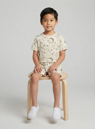 Boys Beige Dinosaur Print T-Shirt and Shorts Co-ord Set