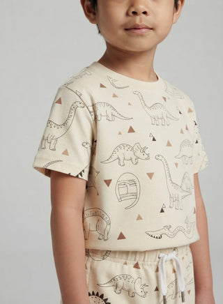 Boys Beige Dinosaur Print T-Shirt and Shorts Co-ord Set