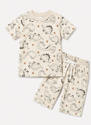 Boys Beige Dinosaur Print T-Shirt and Shorts Co-ord Set