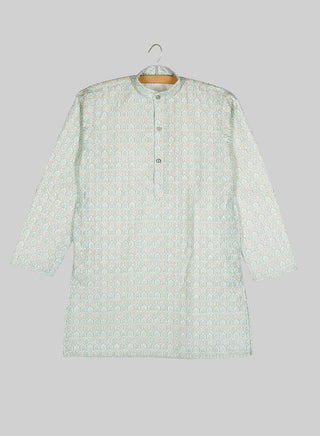 Boys Festive Mint Green Printed Kurta Set