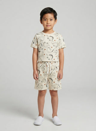 Boy wearing grey dinosour print cotton t-shirt and matching drawstring shorts set for kids, front view — summer casual outfit for ages 1 to 12 years"