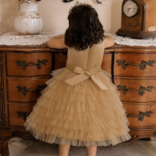 Stylish brown frill party dress with lace bow for girls